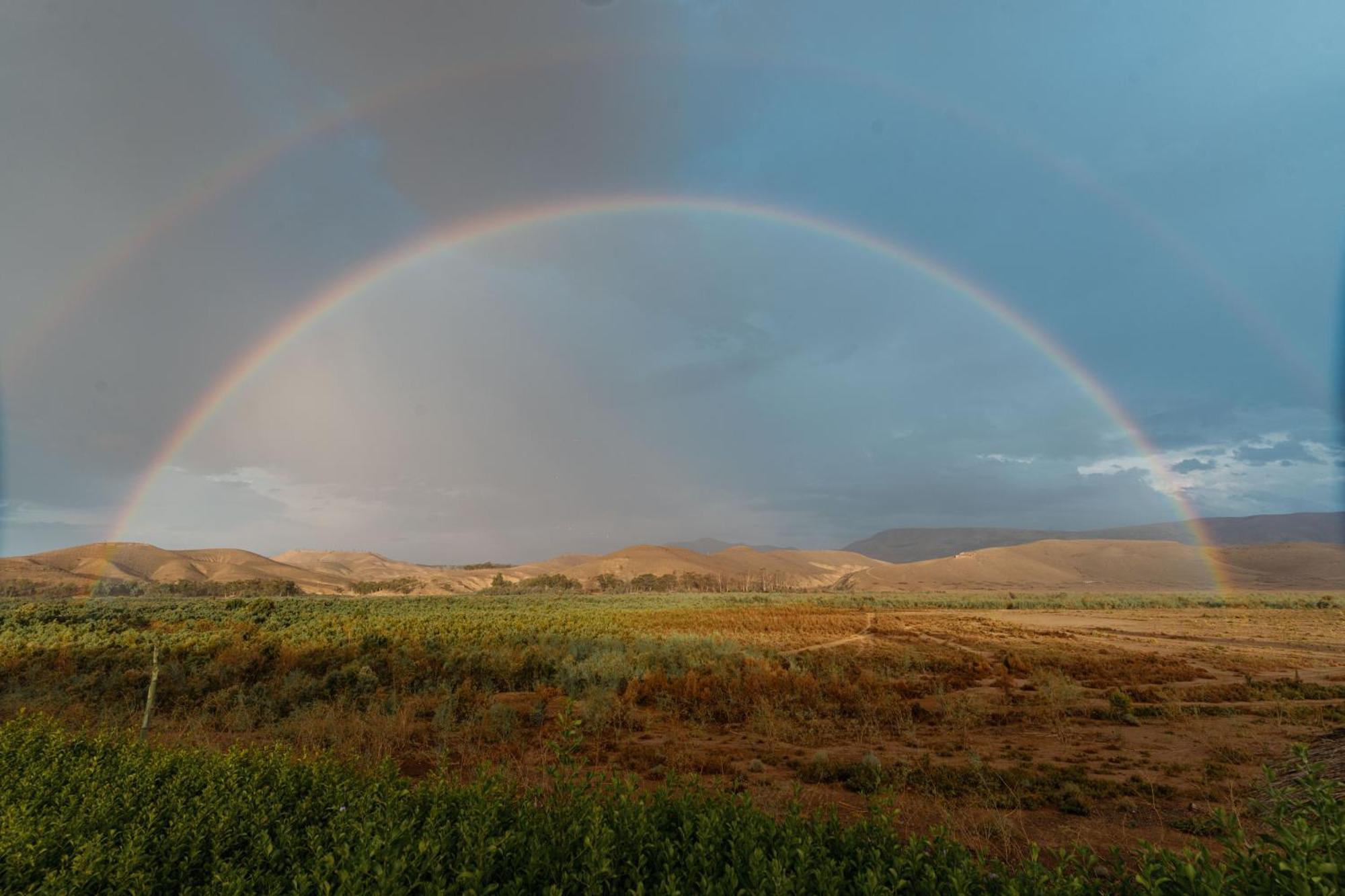 Kalyptus Luxury Camp Hotel Lalla Takerkoust Bagian luar foto